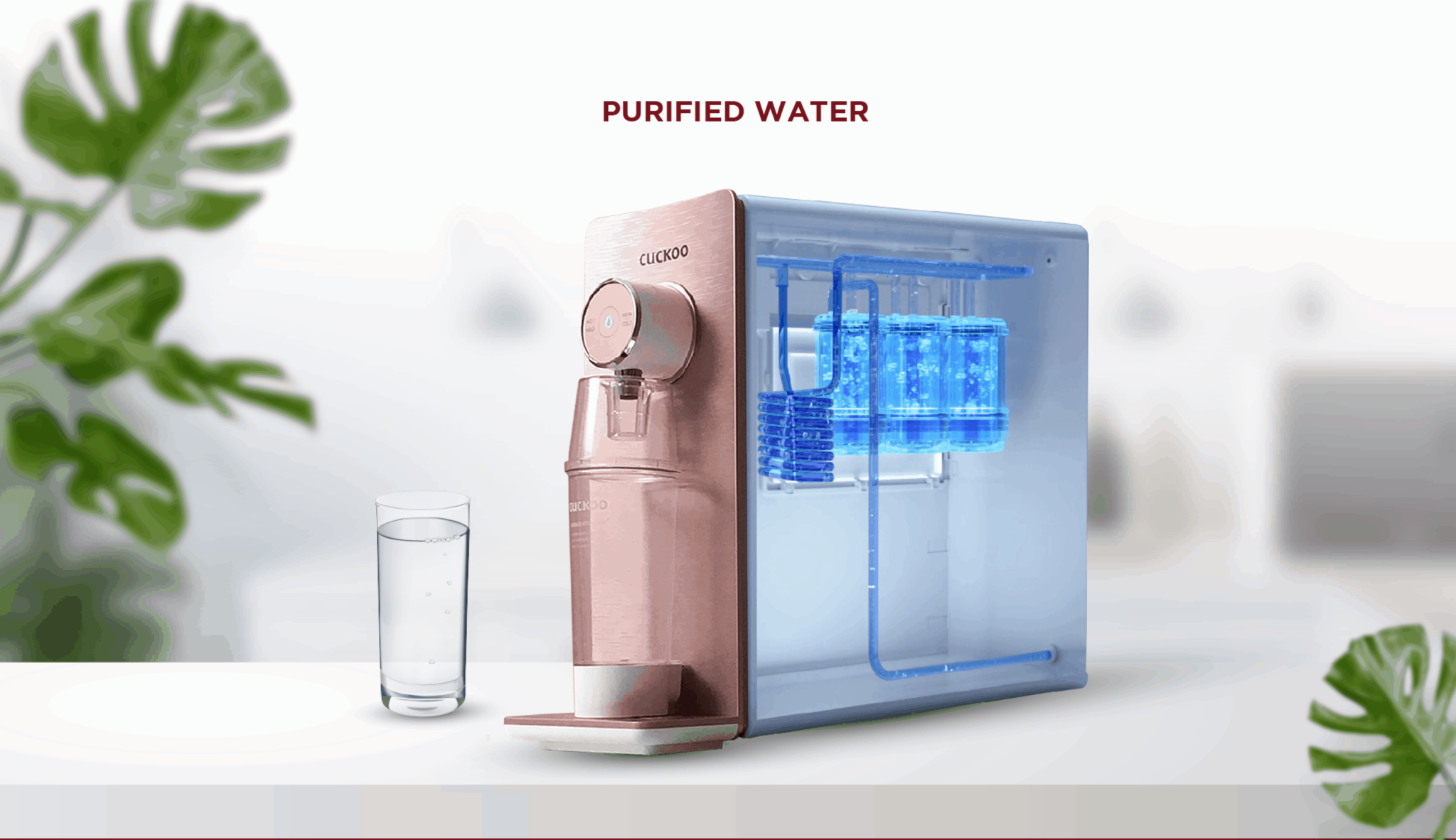 Distilled vs. Filtered Water