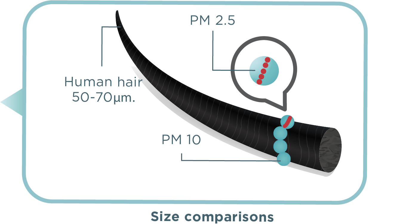 Size comparison between CUCKOO Ultra Air Filtration and human hair